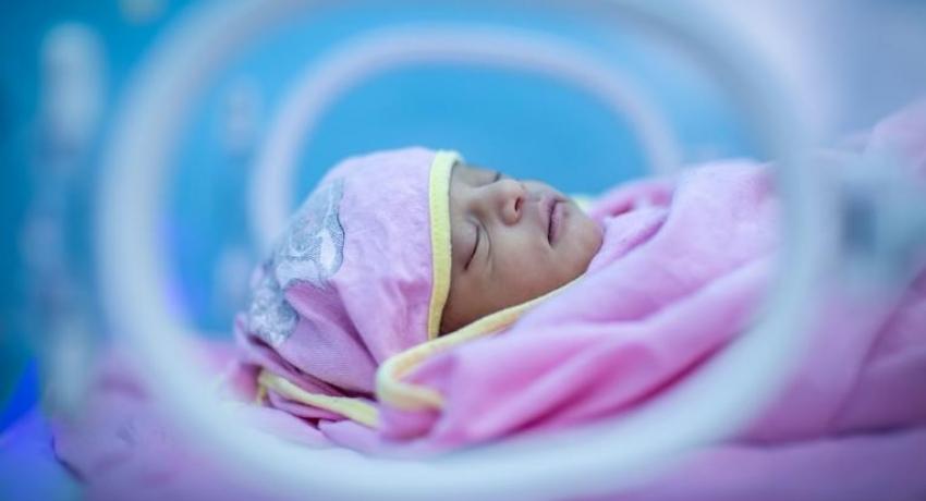 newborn
