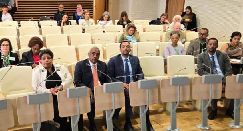 Former Dp minister Demeke 